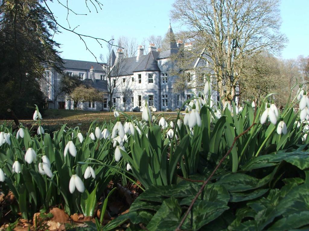 Mount Falcon Estate Ballina  Εξωτερικό φωτογραφία