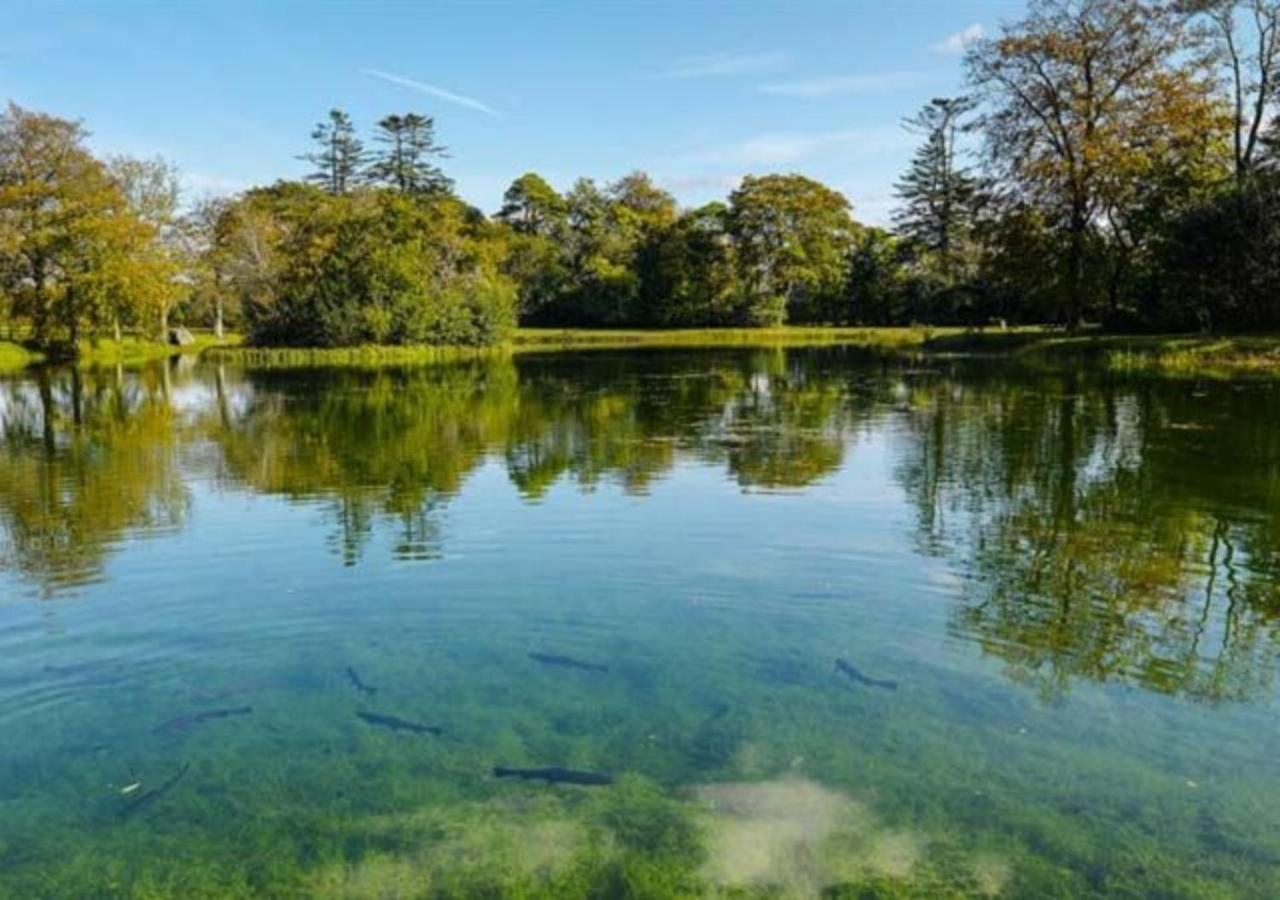Mount Falcon Estate Ballina  Εξωτερικό φωτογραφία